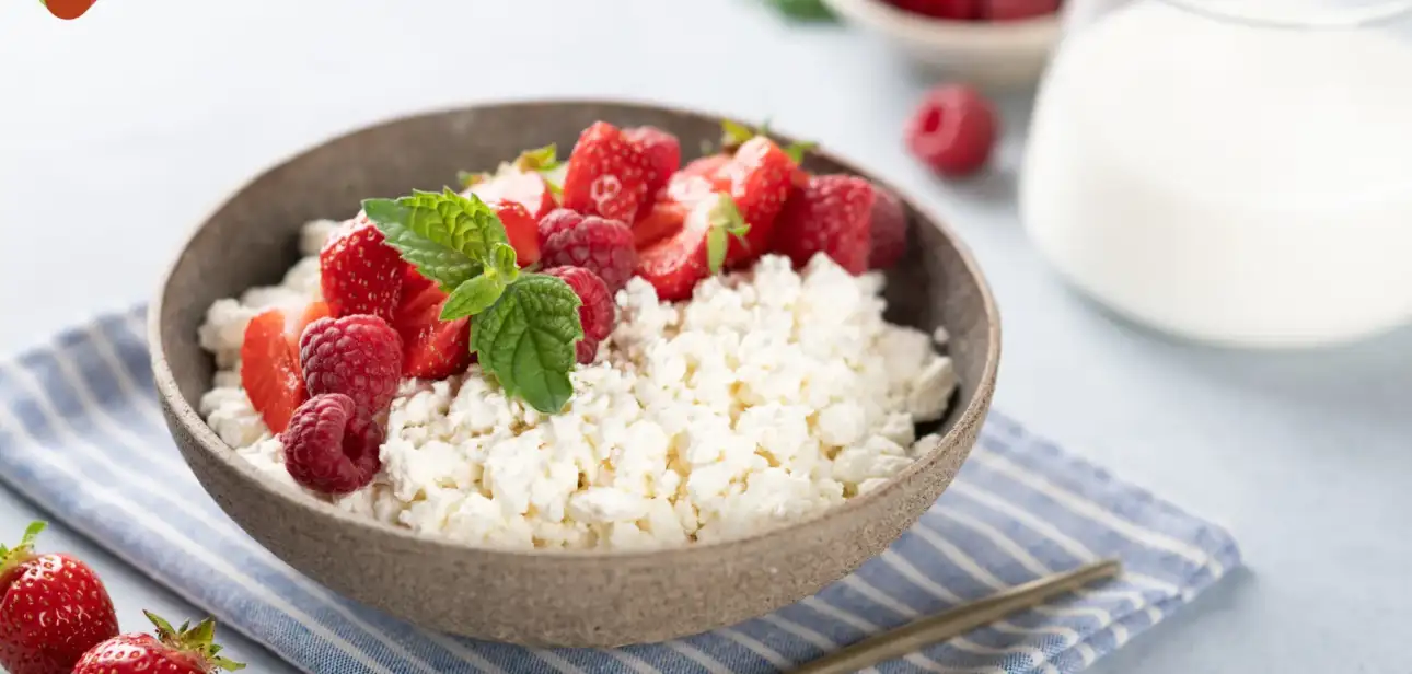 cottage cheese recipes