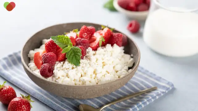 cottage cheese recipes